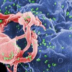エイズ生物兵器説
